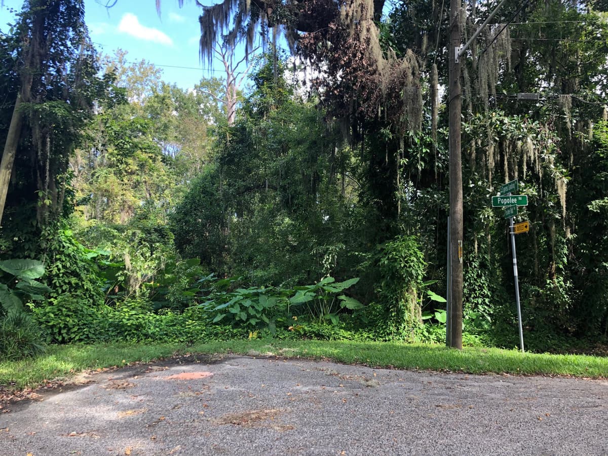 4250 POPOLEE Road, St. Johns, FL 32259 3