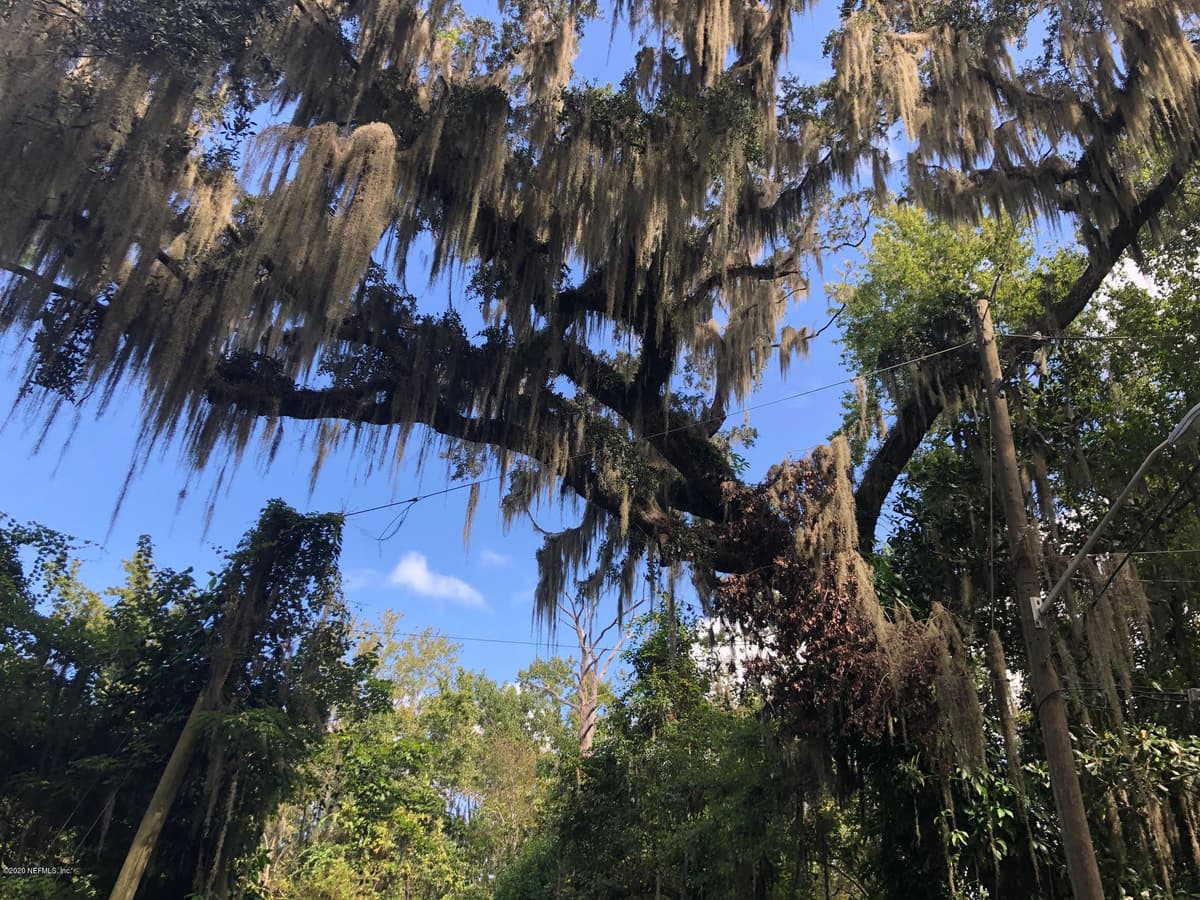 4250 POPOLEE Road, St. Johns, FL 32259 2