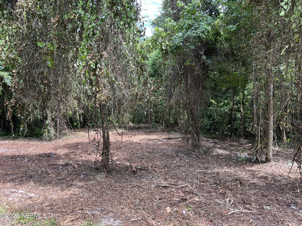 4070 HONEYSUCKLE Circle, Middleburg, FL 32068 2