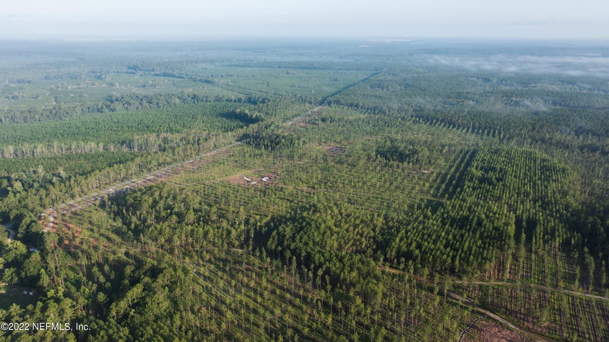 LOT 3- COUNTY ROAD 121, Hilliard, FL 32046 3