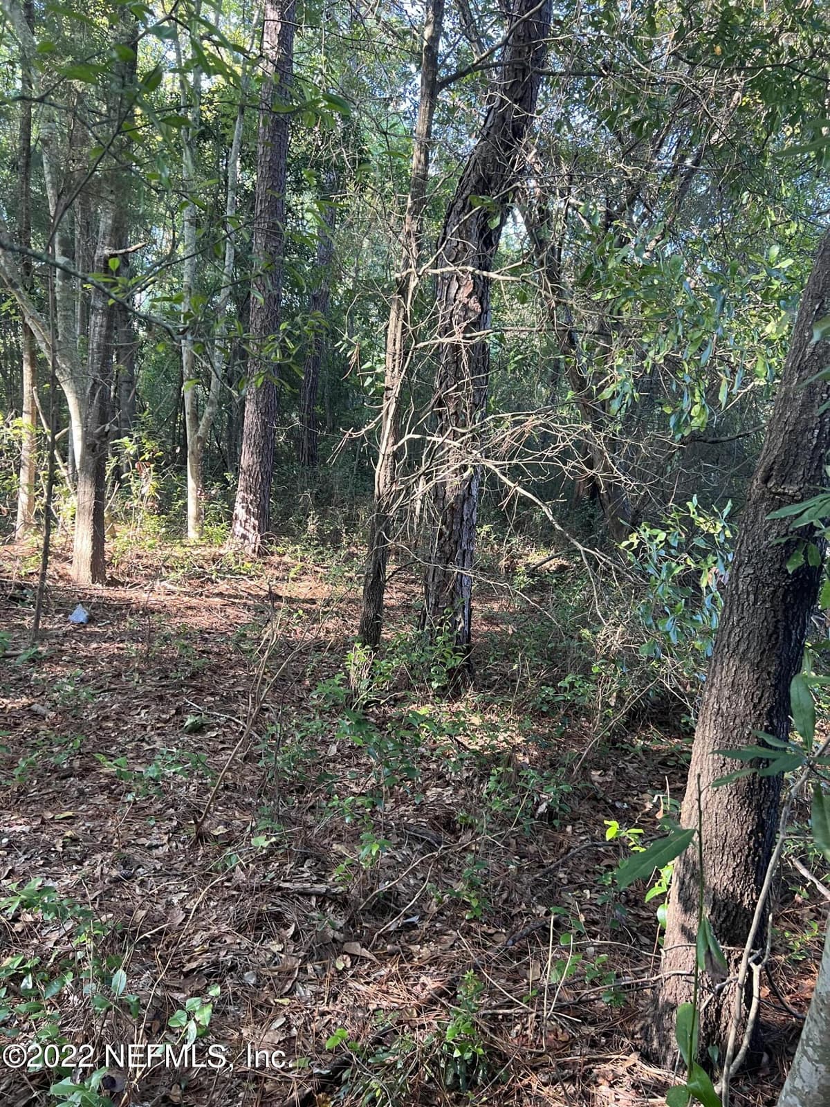 0 LOLA Drive, Jacksonville, FL 32210 2