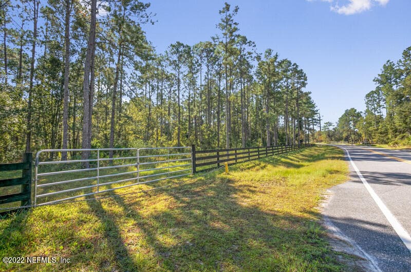 0 FOXTAIL Avenue, Middleburg, FL 32068 3