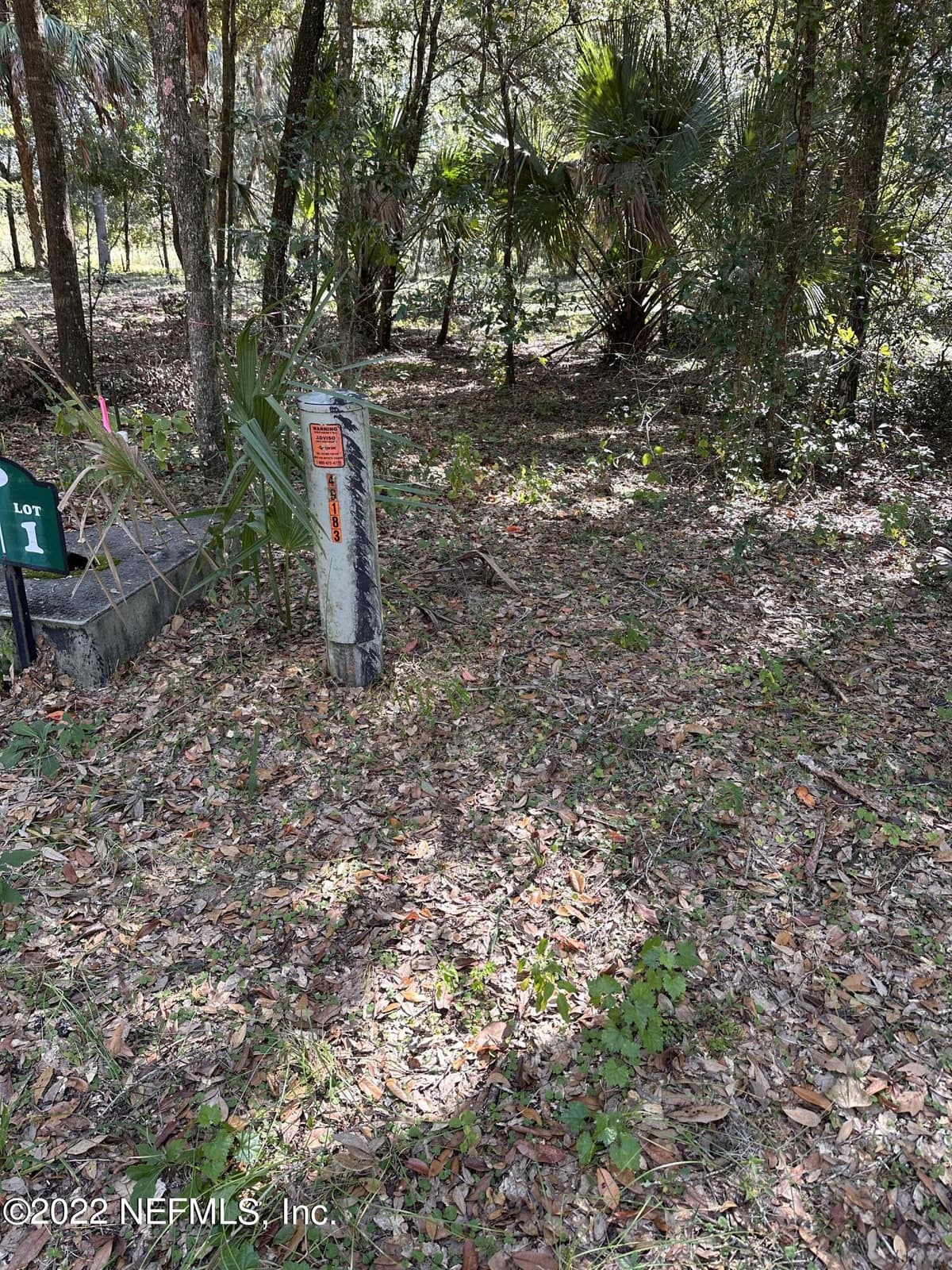 00-01 SE 159TH Lane, Umatilla, FL 32784 3