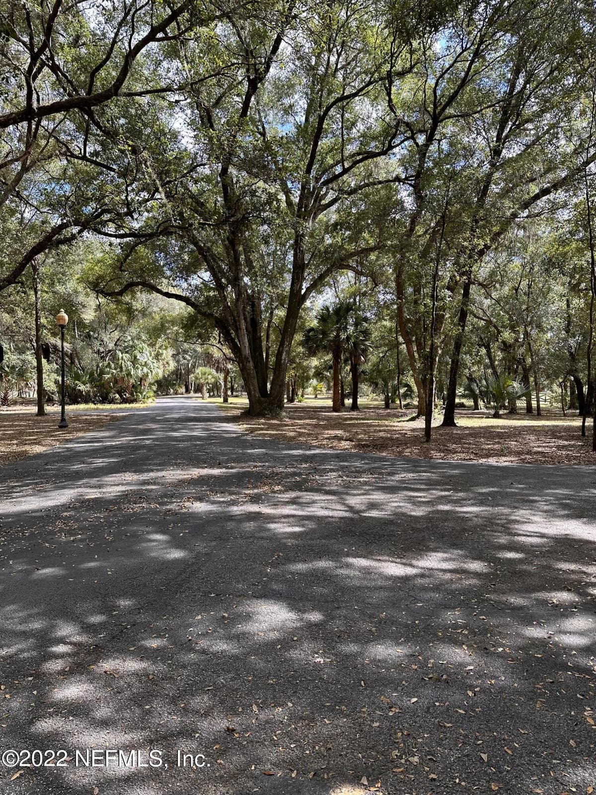 00-08 SE 265TH COURT Road, Umatilla, FL 32784 2