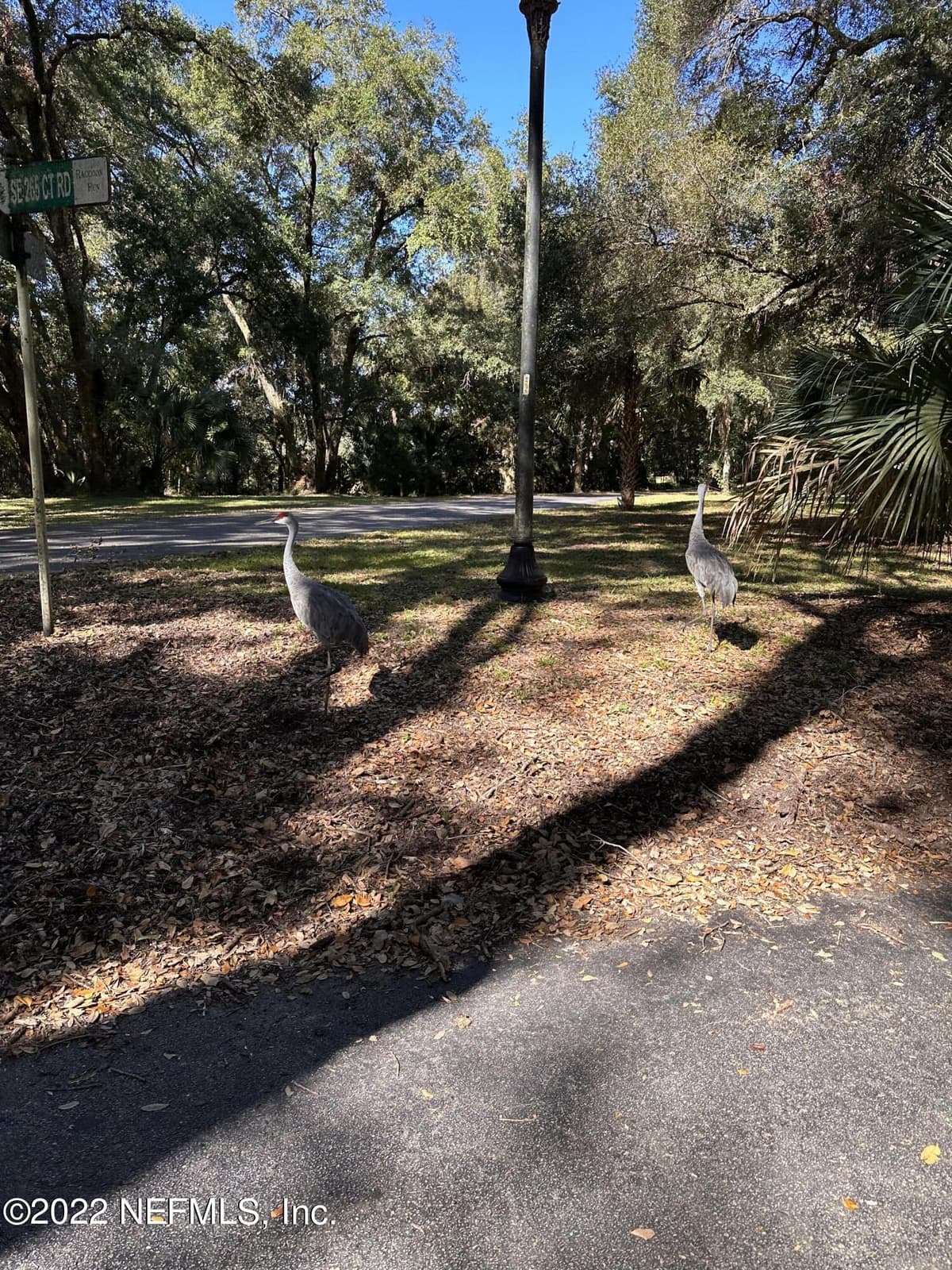 00-08 SE 265TH COURT Road, Umatilla, FL 32784 3
