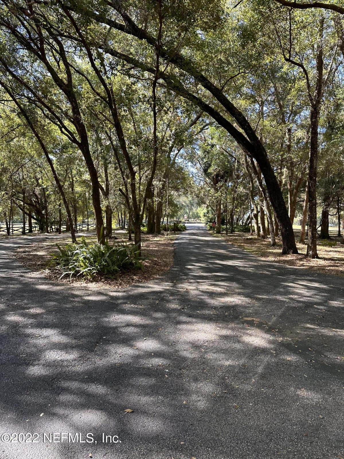00-11 SE 265TH COURT Road, Umatilla, FL 32784 2