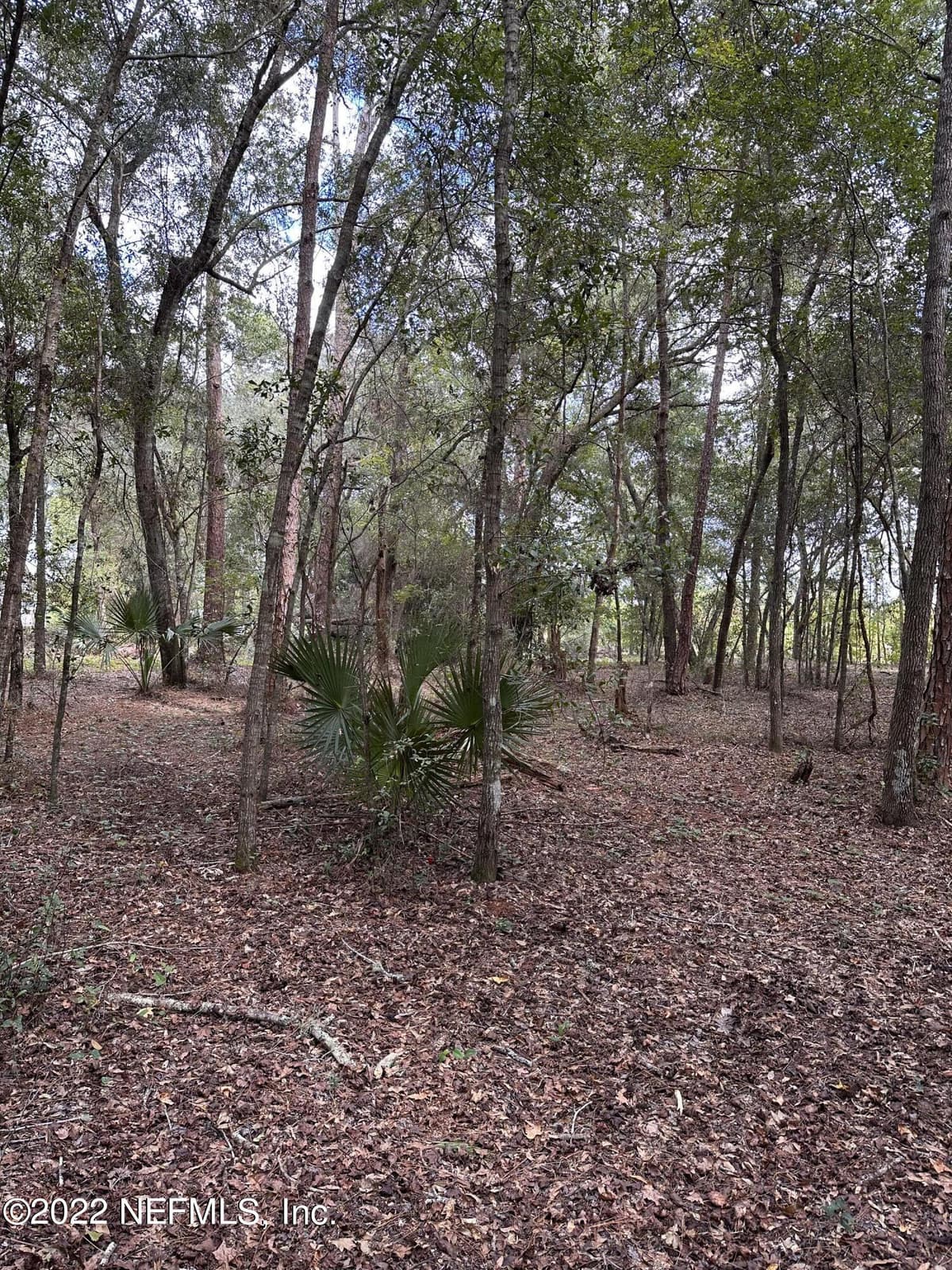 00-13 SE 265TH COURT Road, Umatilla, FL 32784 3