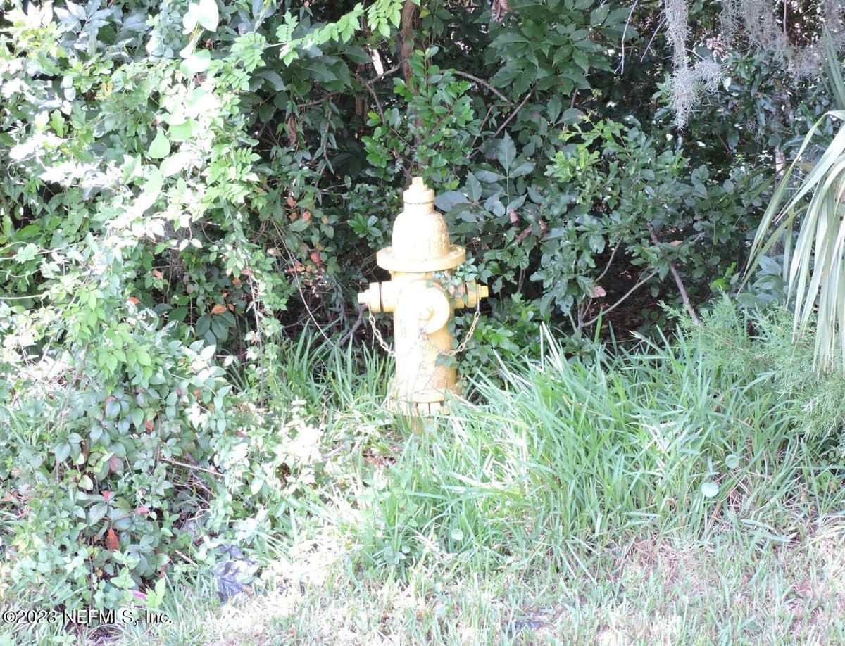 12526 YELLOW BLUFF Road, Jacksonville, FL 32226, Jacksonville, FL - photo 2