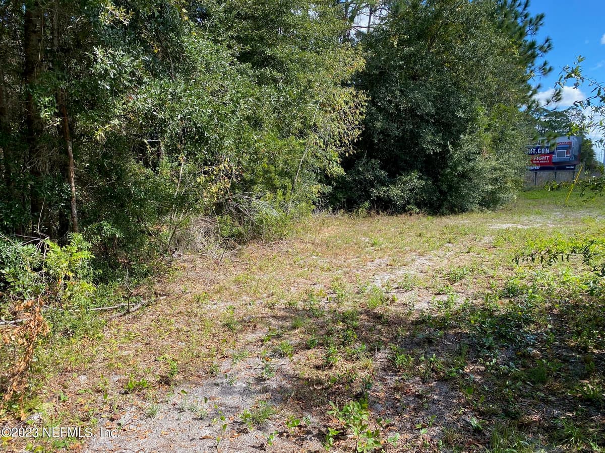 TBD FL SR 20 Highway, Interlachen, FL 32148 2