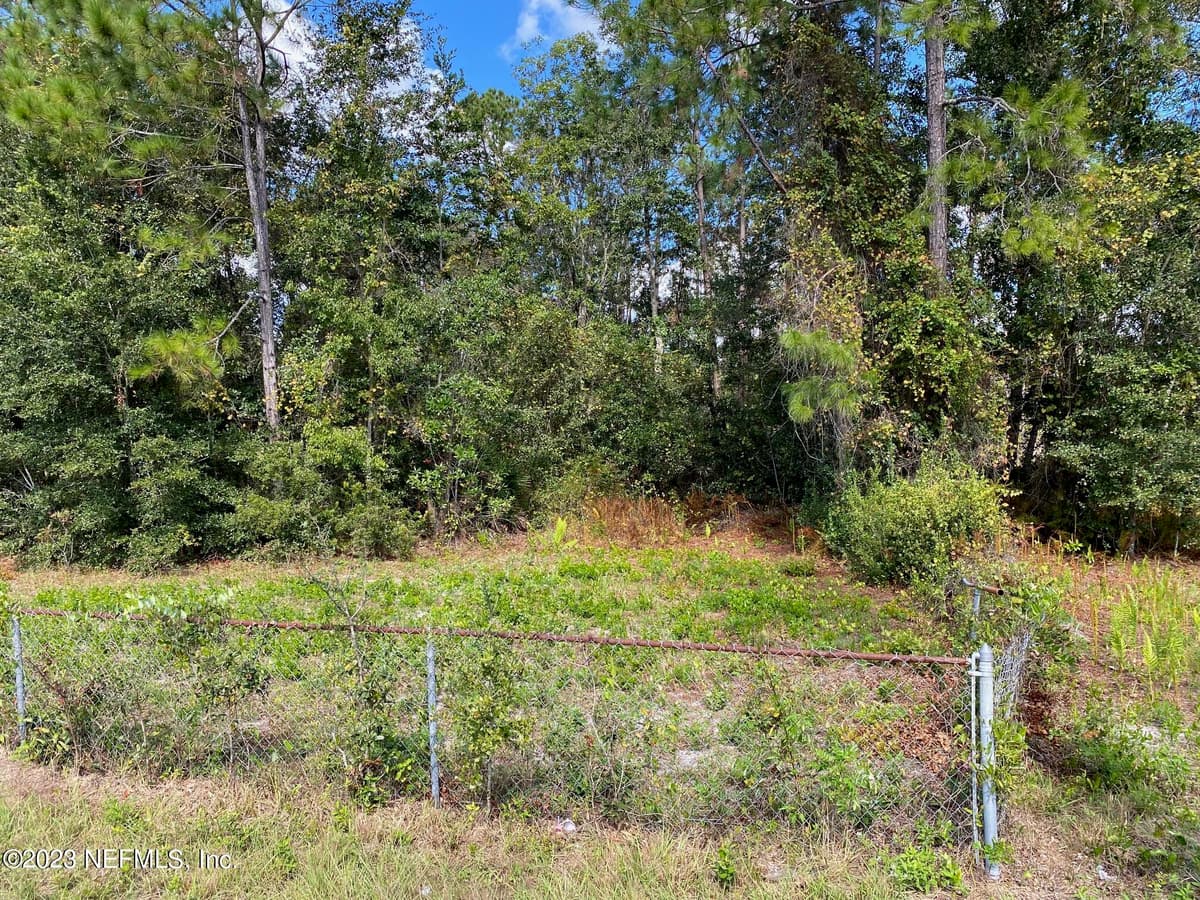 TBD FL SR 20 Highway, Interlachen, FL 32148 3
