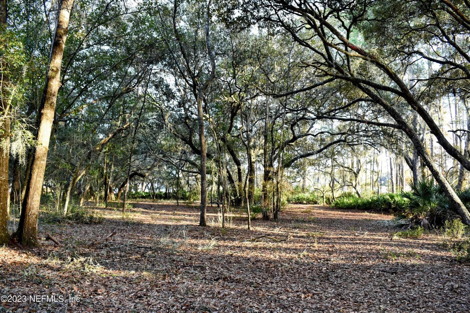 0 SIMPSON Drive, Interlachen, FL 32148