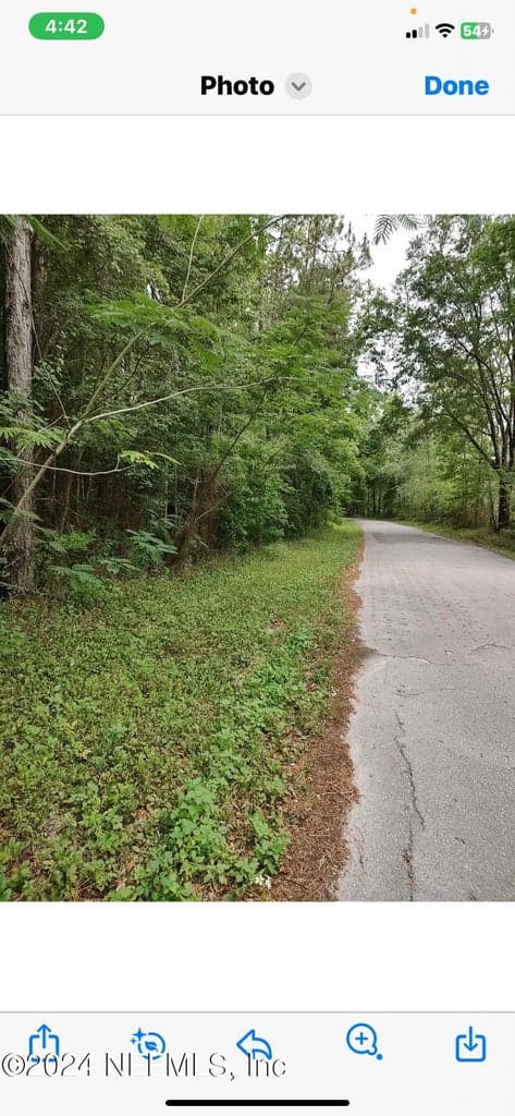 0 RICHARDSON Road, Glen St. Mary, FL 32040, Glen St. Mary, FL - photo 3