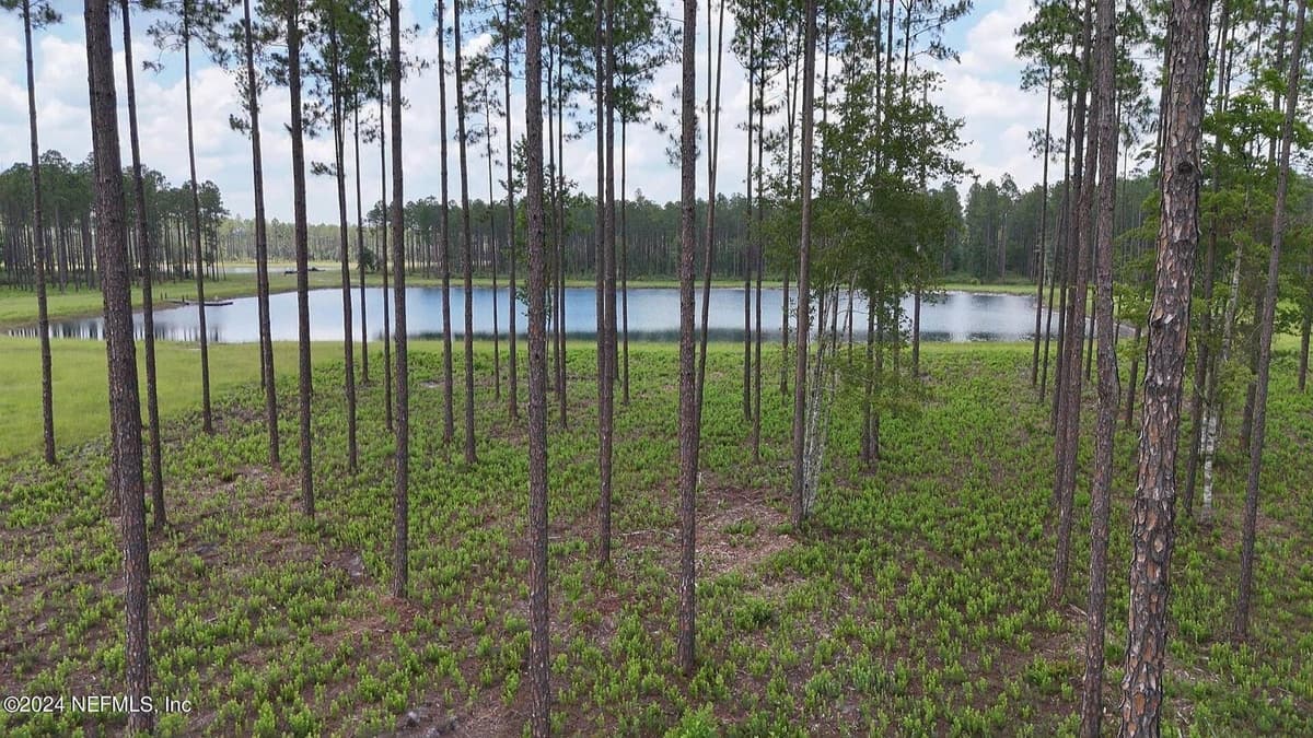 LOT 3 US HWY 301, Bryceville, FL 32009 3