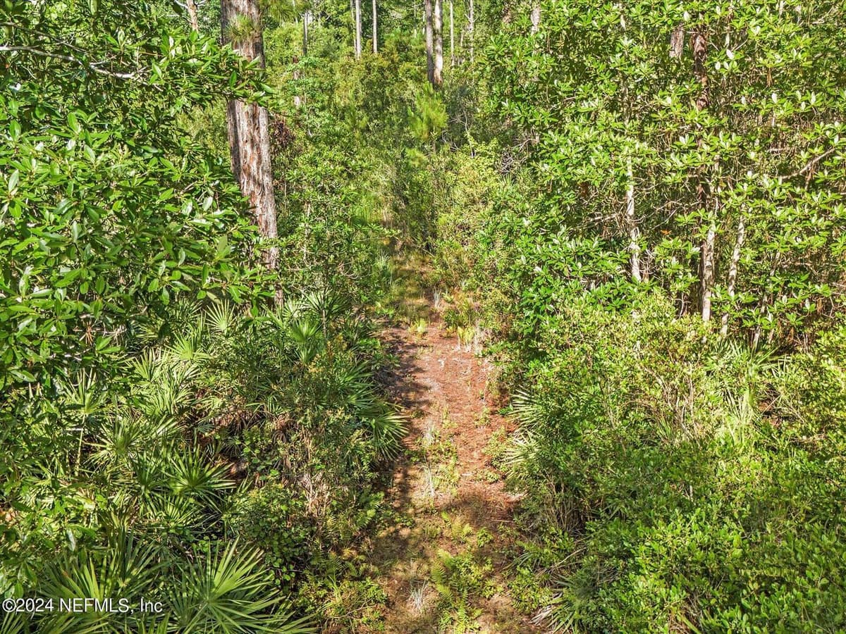 0 WATER OAKS Road, Yulee, FL 32097 2
