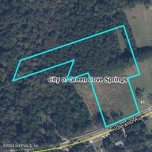 0 IDLEWILD Avenue, Green Cove Springs, FL 32043 3