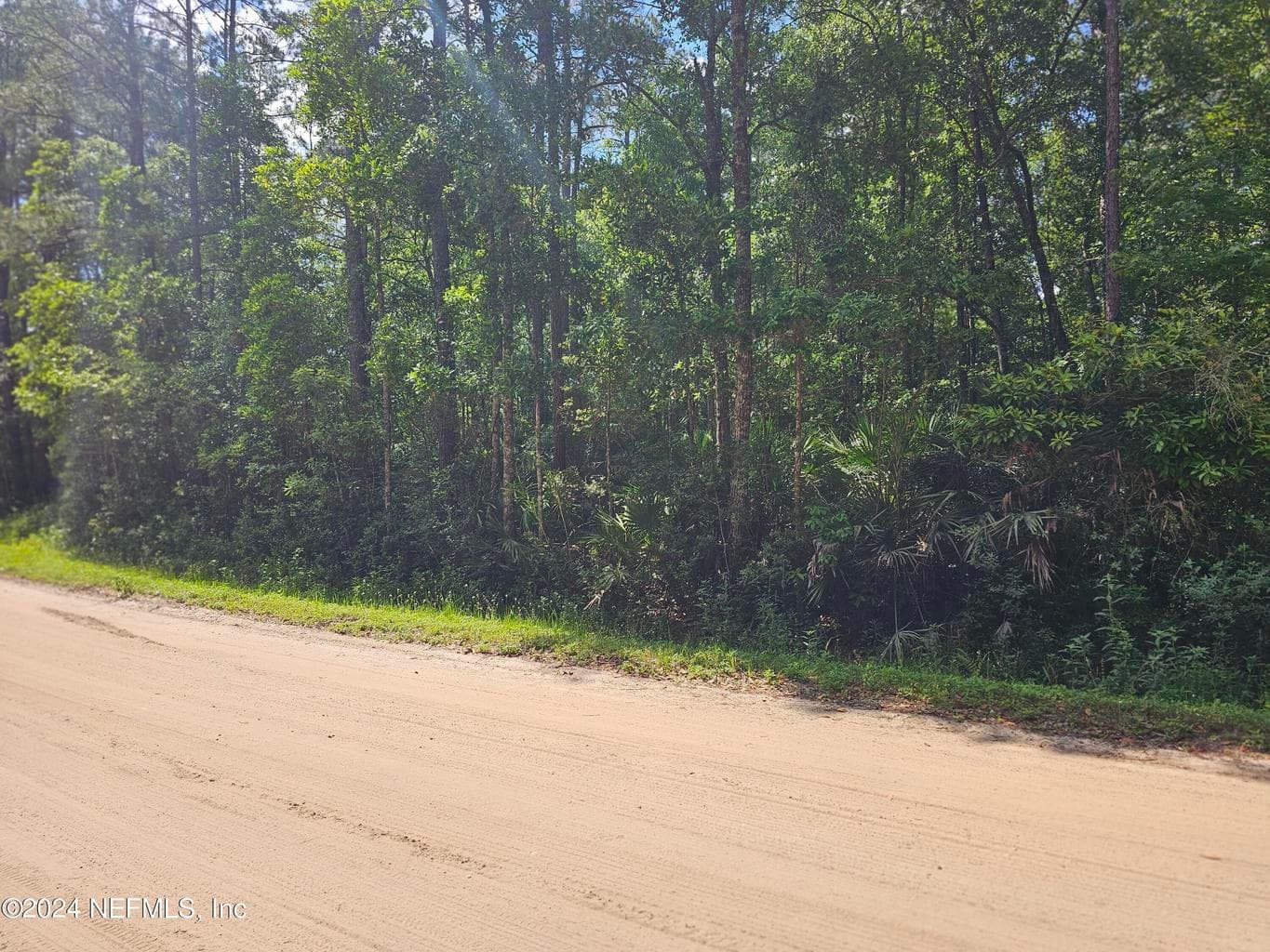4930 CHICKPEA Street, Middleburg, FL 32068
