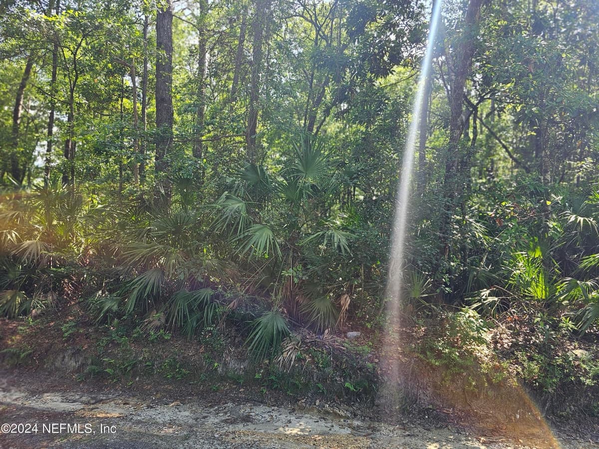 4930 CHICKPEA Street, Middleburg, FL 32068 2