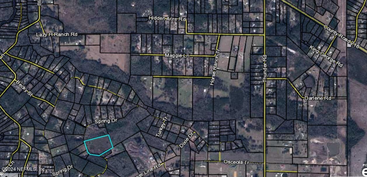 0 SPRING Drive, Middleburg, FL 32068