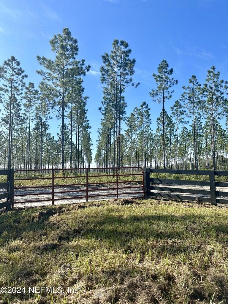LOT 14 ANDREWS Road, Hilliard, FL 32046 2