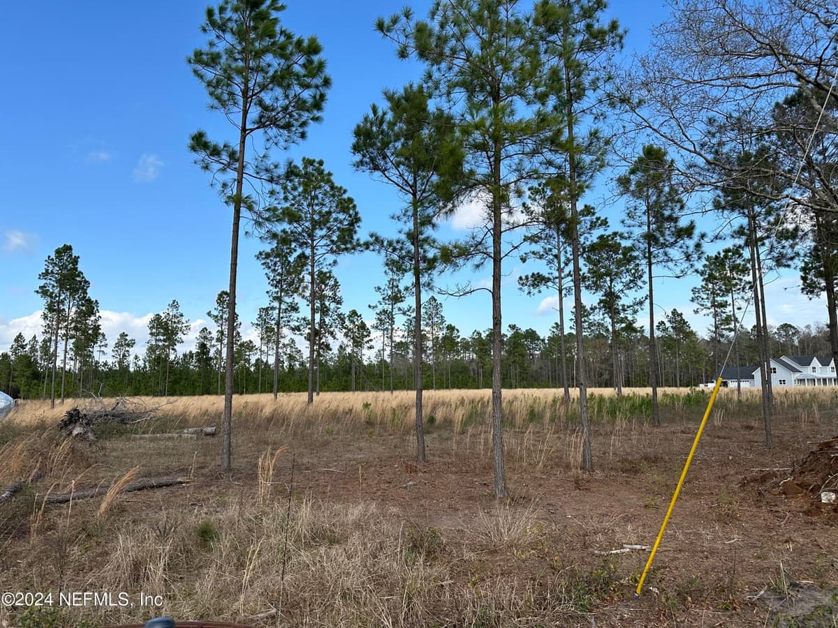 15538 CO RD 108, Hilliard, FL 32046 2