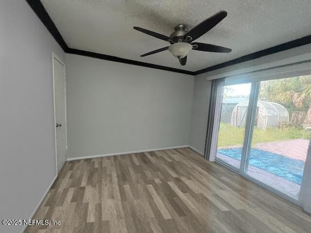 231 HOLLY Lane, Palatka, FL 32177 3