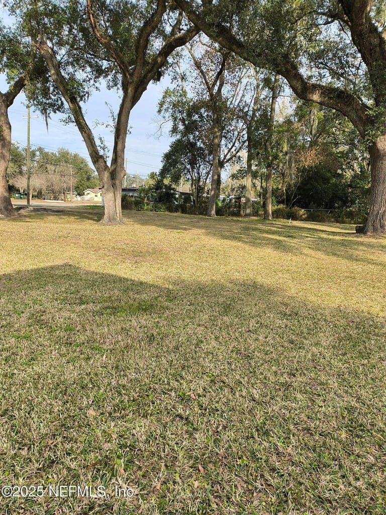3906 EMERSON Street, Jacksonville, FL 32207 2
