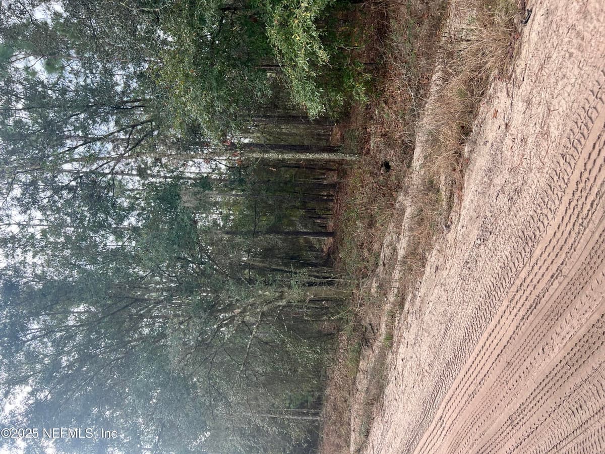 5855 CAMPO Drive, Keystone Heights, FL 32656 3