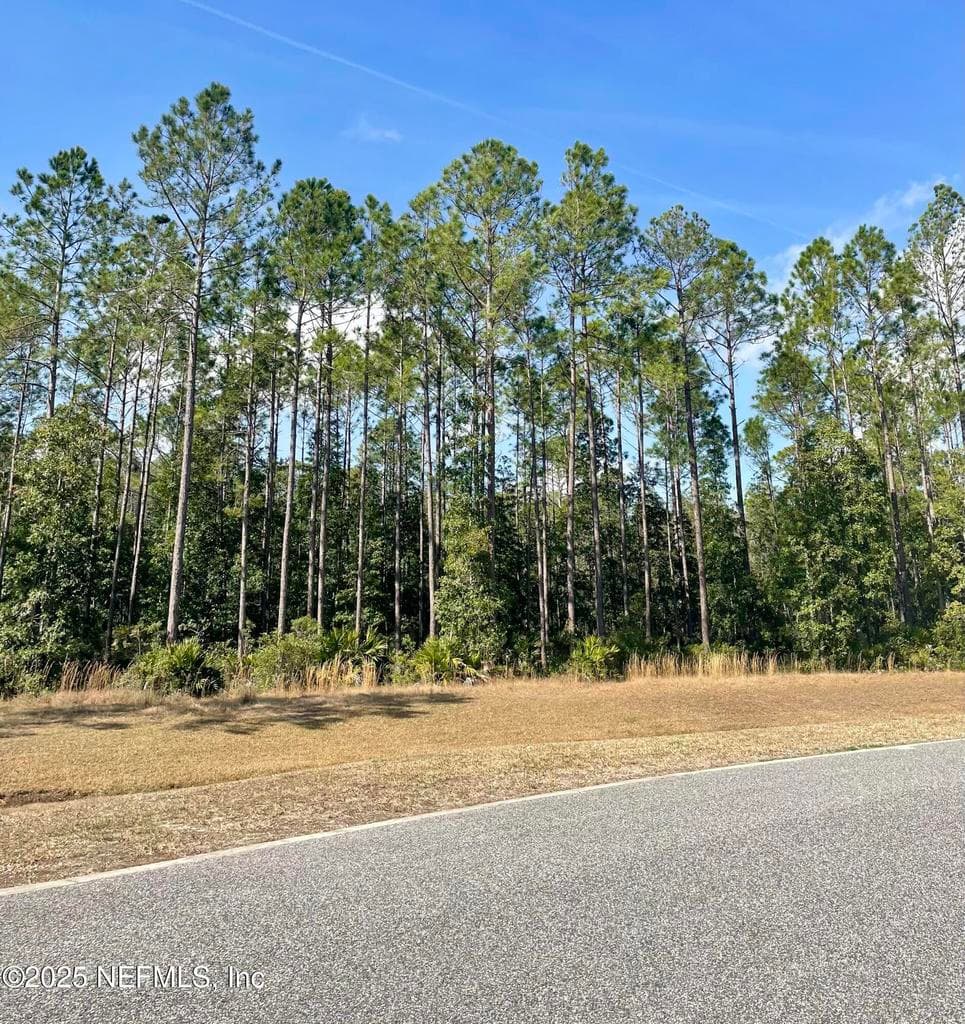 11068 BLAZING RIDGE Court, Jacksonville, FL 32219 2