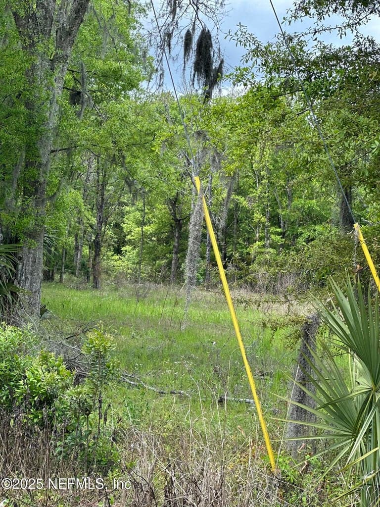 12452 LEM TURNER Road, Jacksonville, FL 32218 3