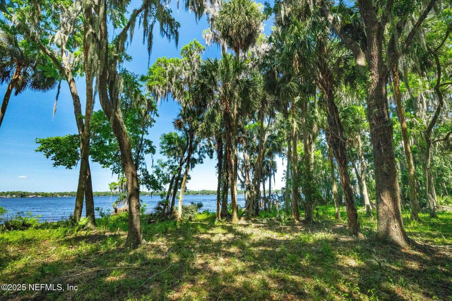 766 NATIONAL FOREST ROAD 75G Road, Palatka, FL 32177