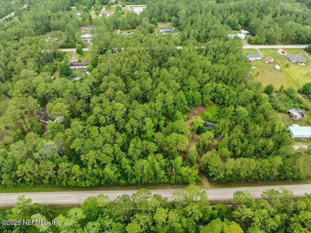 1756 HAZELNUT Street, Bunnell, FL 32110 3