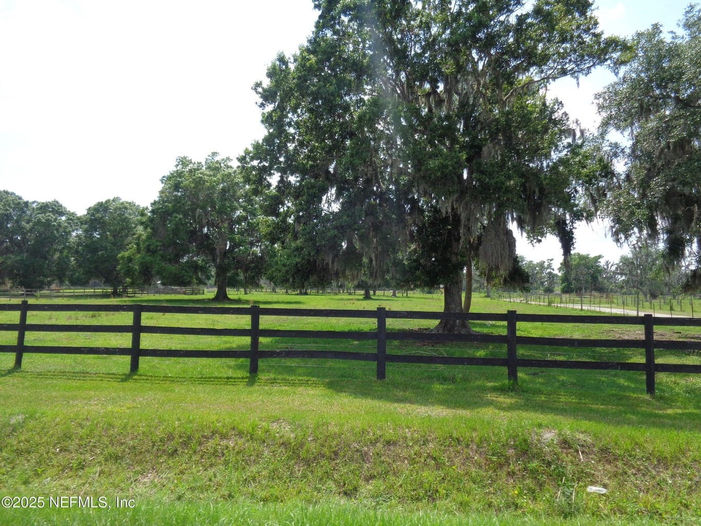 TBD BARREL FACTORY Road, Hastings, FL 32145, Hastings, FL - photo 1