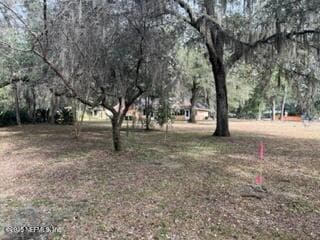 6239 EARLINE Circle S, Jacksonville, FL 32258