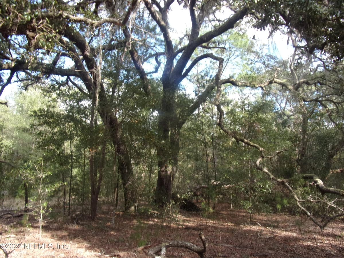 0 S COUNTY ROAD 315, Interlachen, FL 32148 2