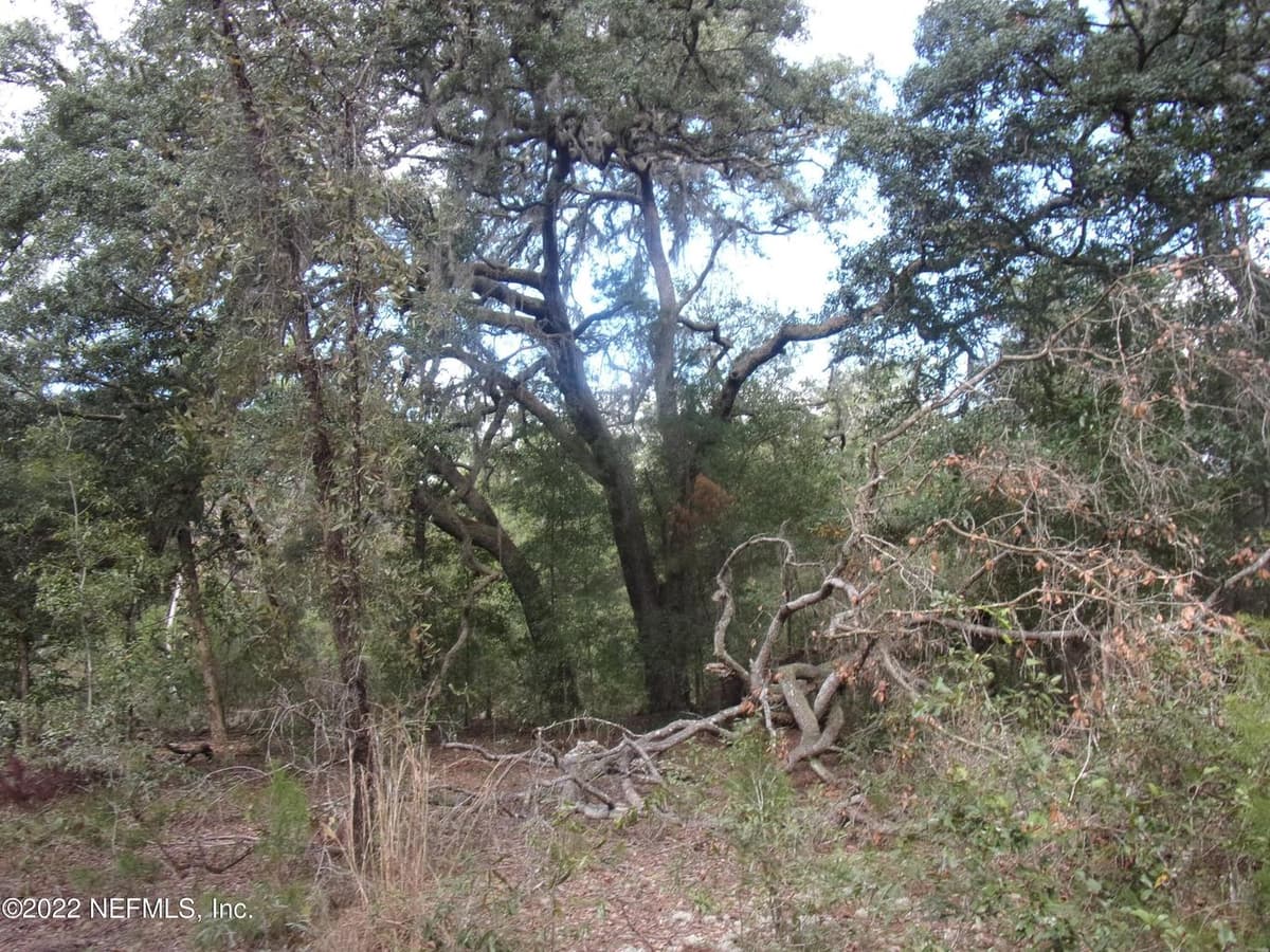 0 S COUNTY ROAD 315, Interlachen, FL 32148 3