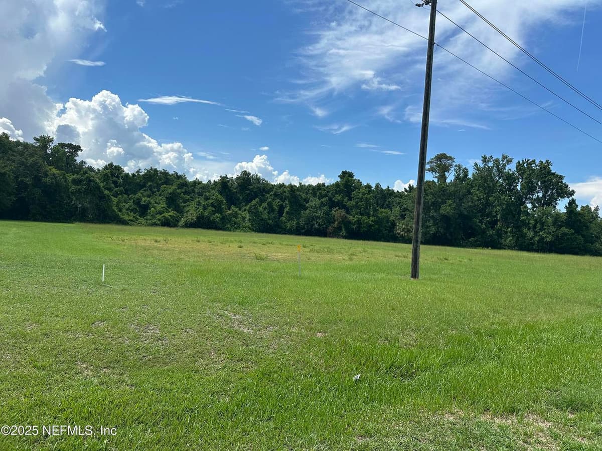 0 HIGHWAY 19, Palatka, FL 32177 3