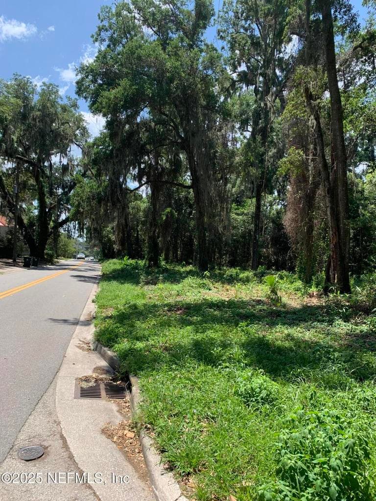 0 MILWAUKEE Avenue, Orange Park, FL 32073 2
