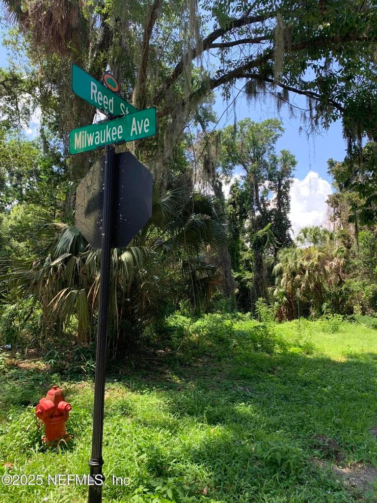 0 MILWAUKEE Avenue, Orange Park, FL 32073 3