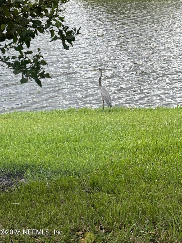 501 N LEGACY Trail, St. Augustine, FL 32092 2