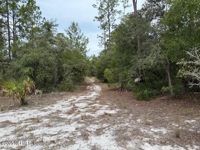 XXX S FRANCIS Street, Interlachen, FL 32148