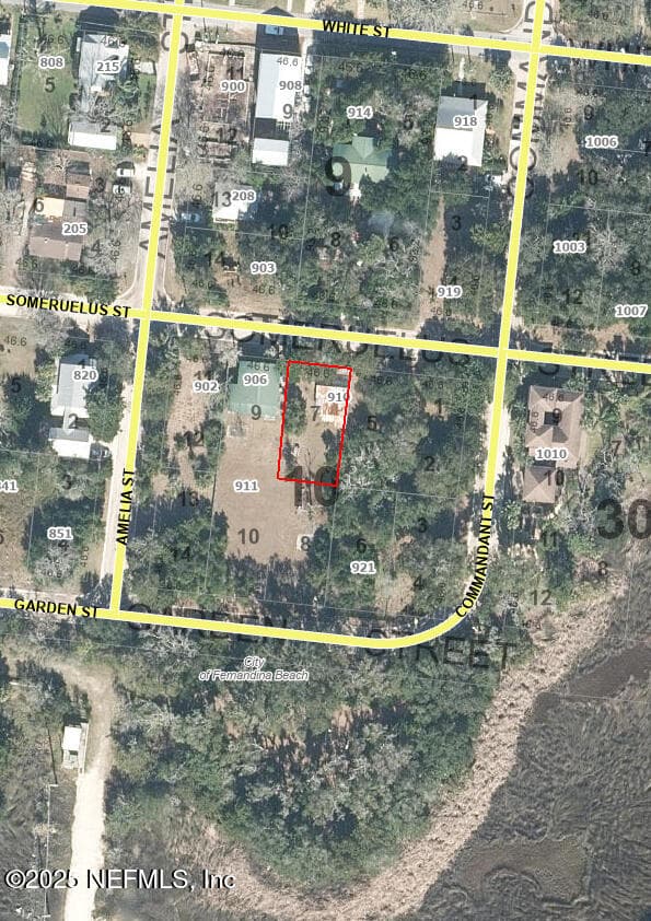 910 SOMERUELUS Street, Fernandina Beach, FL 32034 3