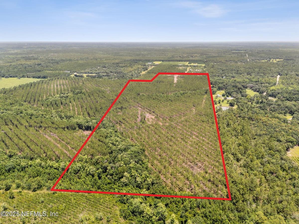 0 LAKE HAMPTON Road, Hilliard, FL 32046 3