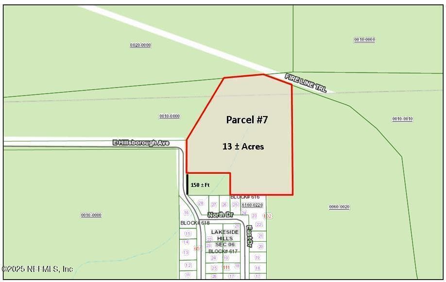 PARCEL 7 E HILLSBOROUGH Avenue, Florahome, FL 32140 2