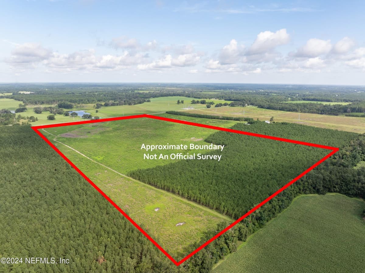 VACANT88 NE ROCKY FORD Road, Madison, FL 32340 2