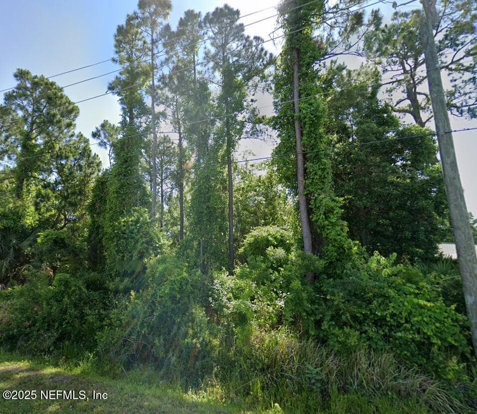 0 DOBBS Road, St. Augustine, FL 32086 3