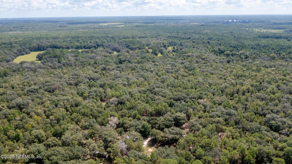 23172 SE 120TH Place, Hawthorne, FL 32640 2