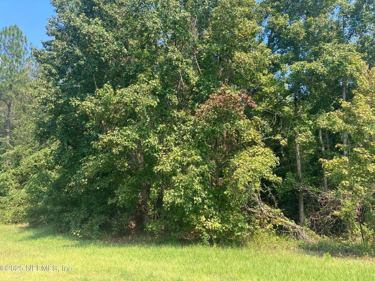 0 COUNTY RD 217, Middleburg, FL 32234 2