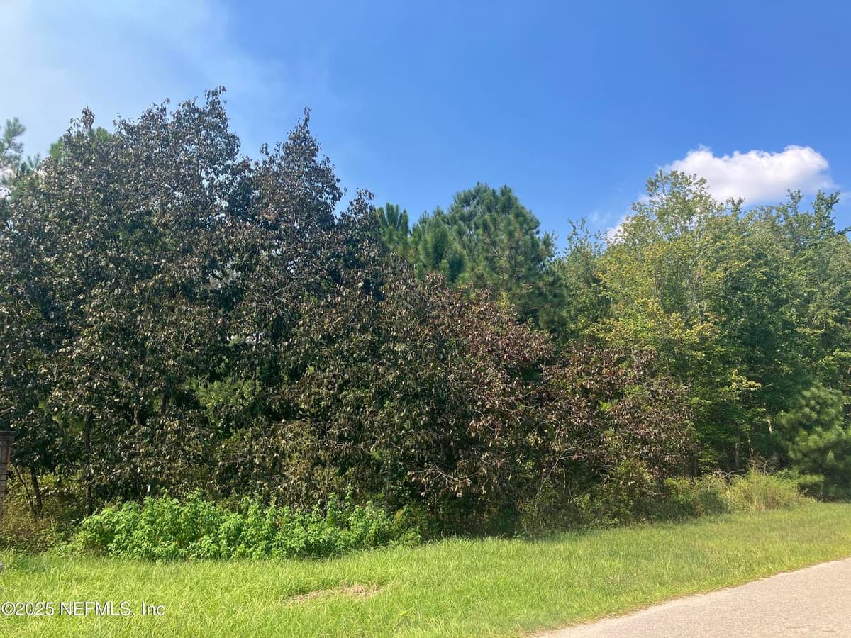 00 COUNTY RD 217, Middleburg, FL 32234 3