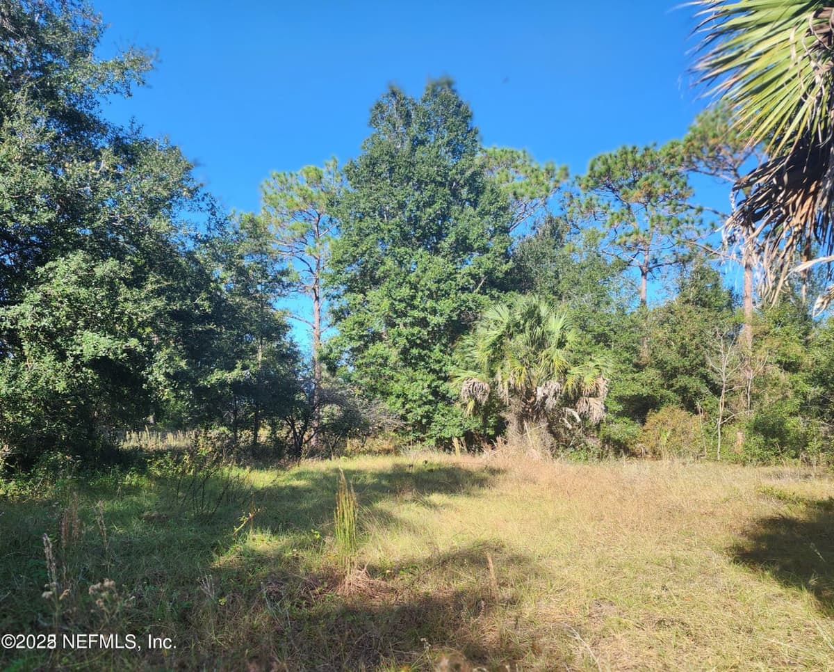 00 COMMERCIAL Circle, Keystone Heights, FL 32656 2