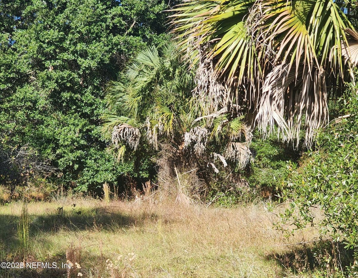00 COMMERCIAL Circle, Keystone Heights, FL 32656 3